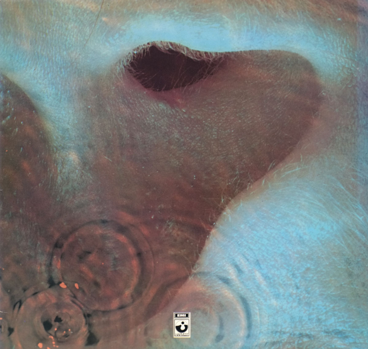 High Resolution Photo #1 PINK FLOYD Meddle Germany 